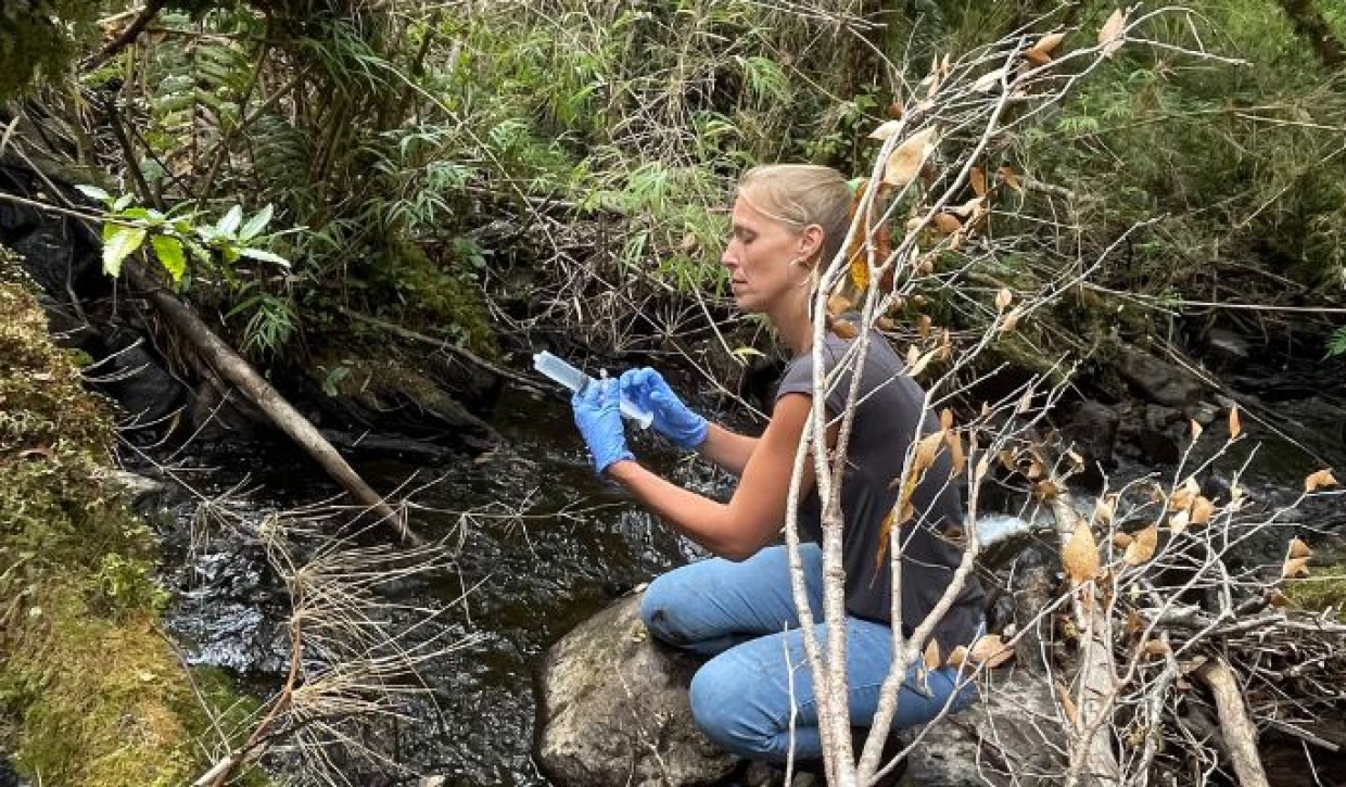 Muestreo de ADN ambiental para conocer la biodiversidad en áreas protegidas